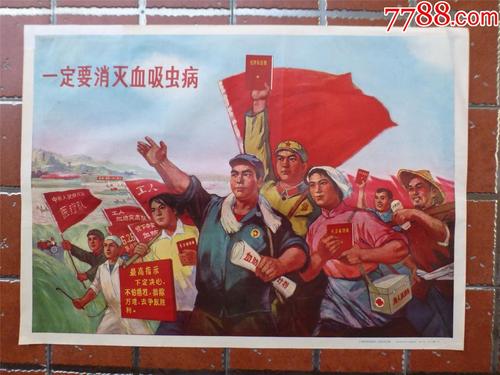 学历认证书图片